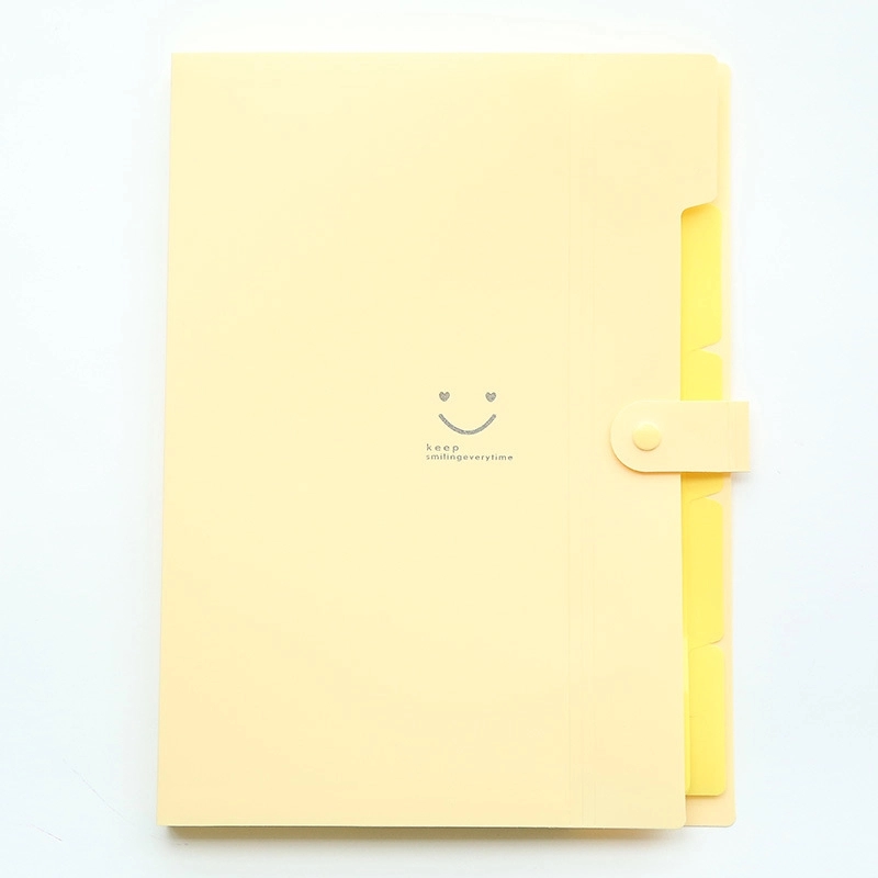 Expanding File Folder 5 Pockets 24