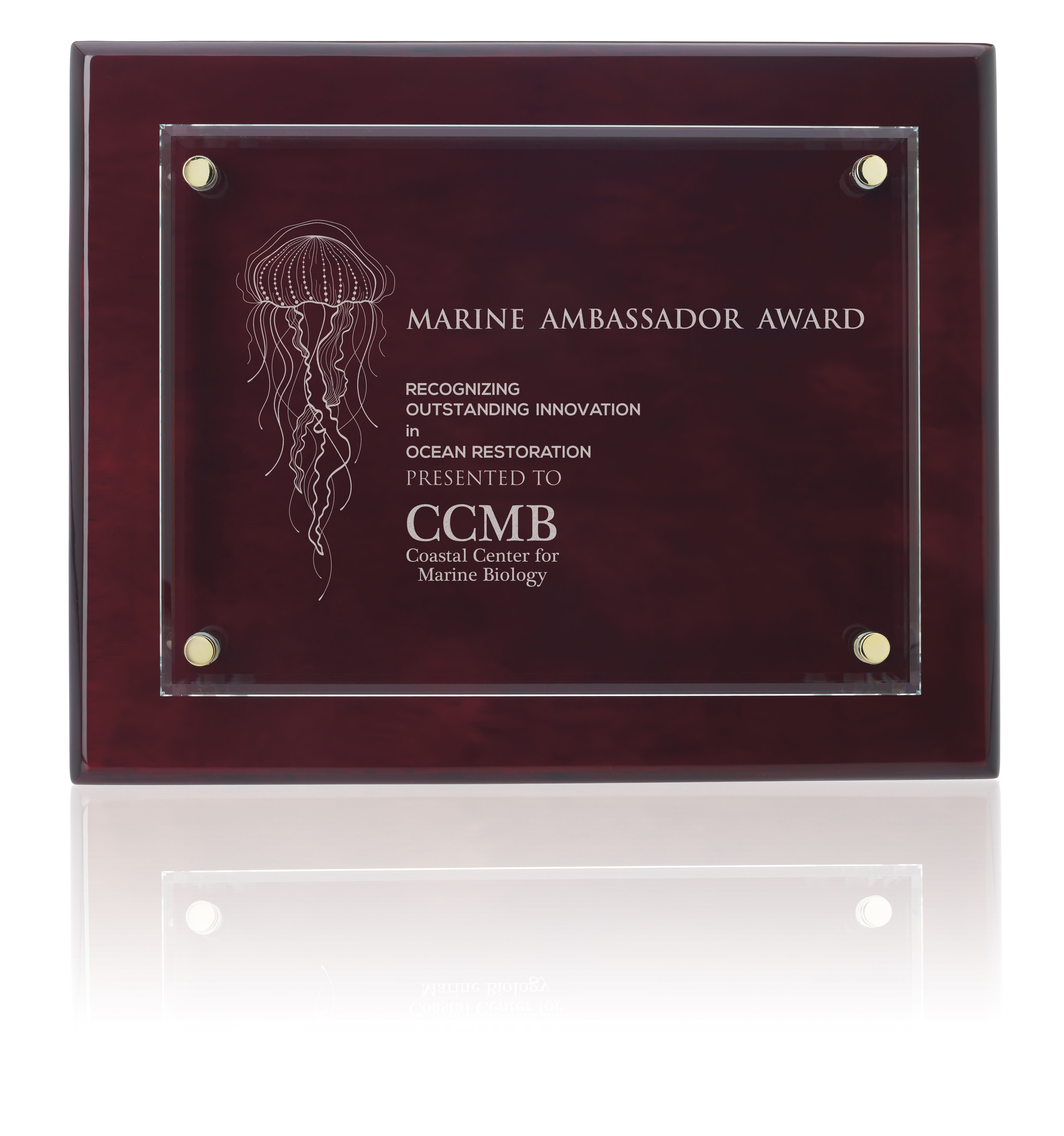 JAFFA® Floating Glass Plaque - 8" x 10" 7