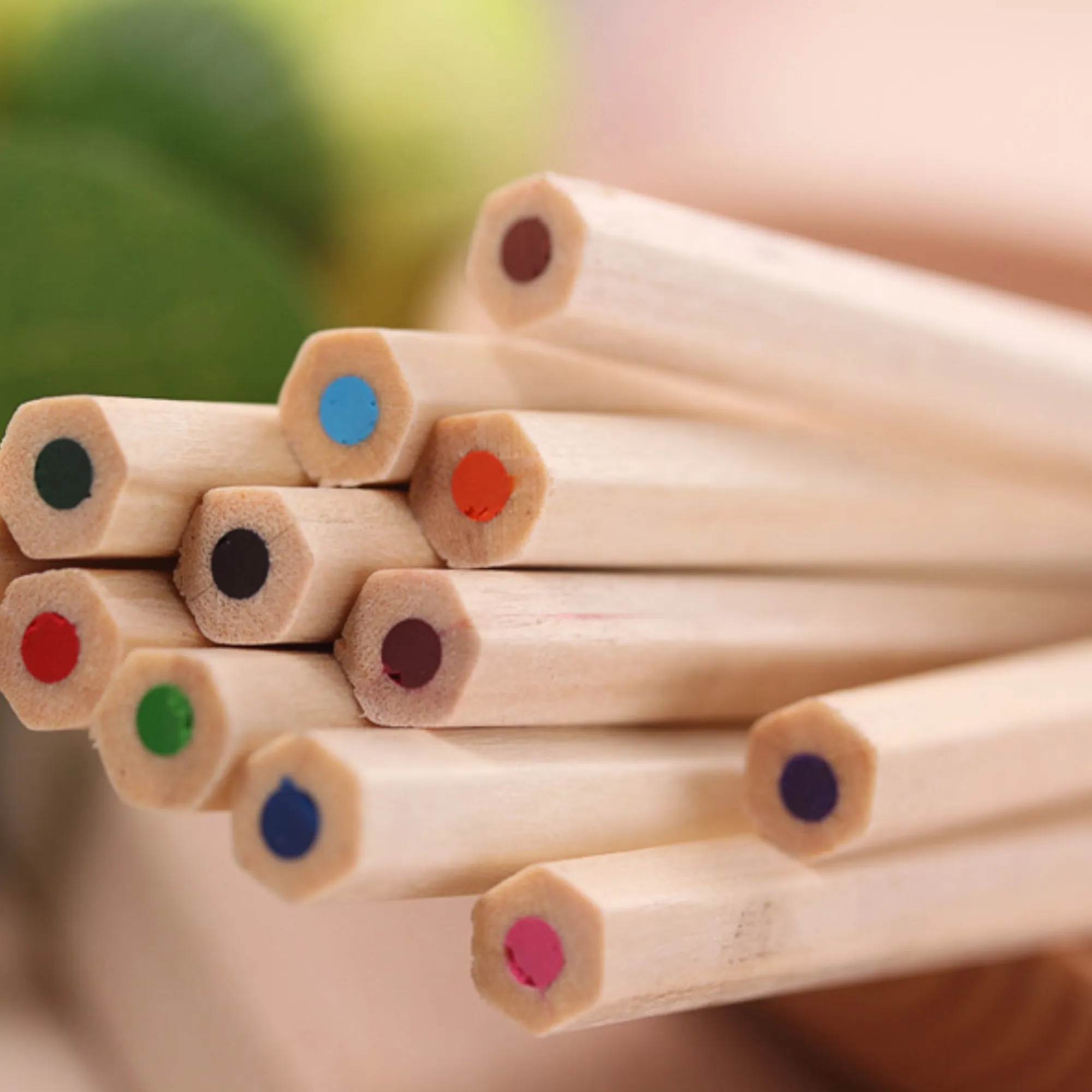 12 Color Wooden Colouring Pencils Set in Tube Art Supplies 4