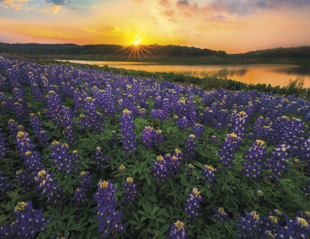 Triumph® Calendars Texas Calendar 33