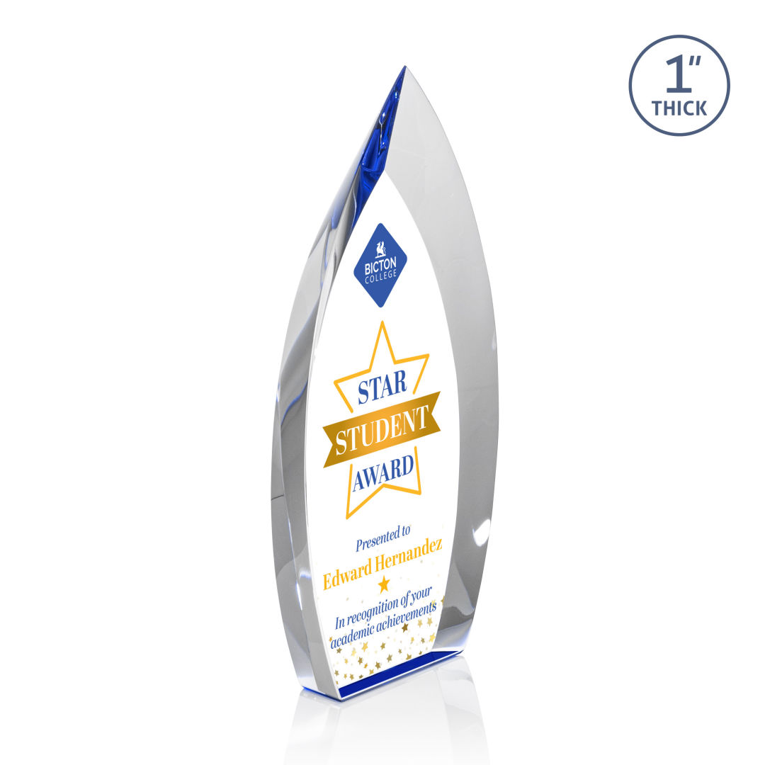 Marinello VividPrint™ Award - Blue 6