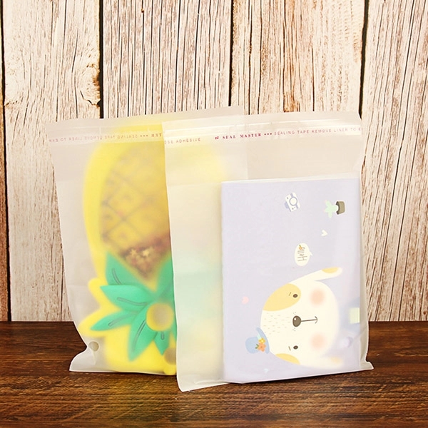 Frosted Translucent Self-Adhesive Bag 4