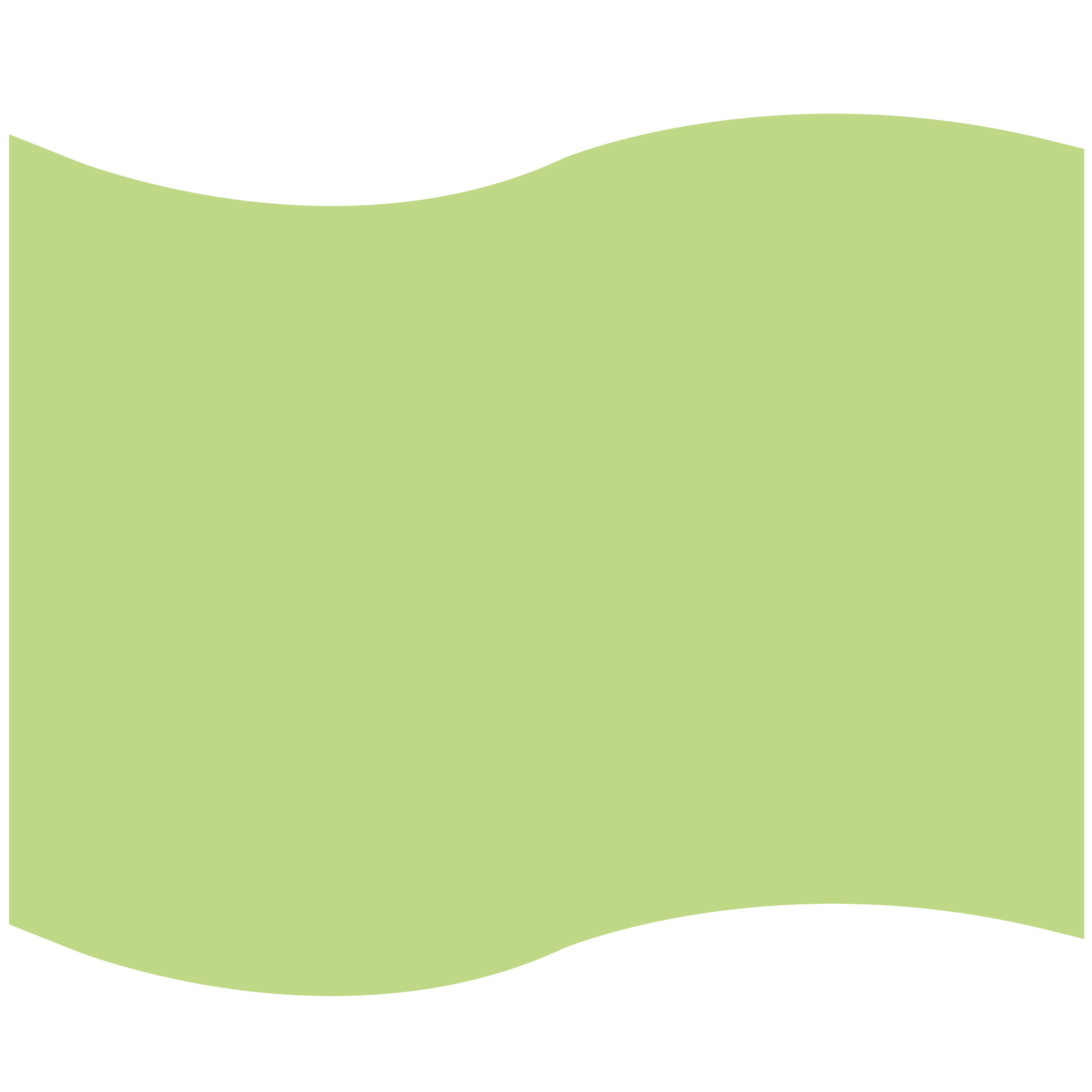 Foam Flag Mitt 9