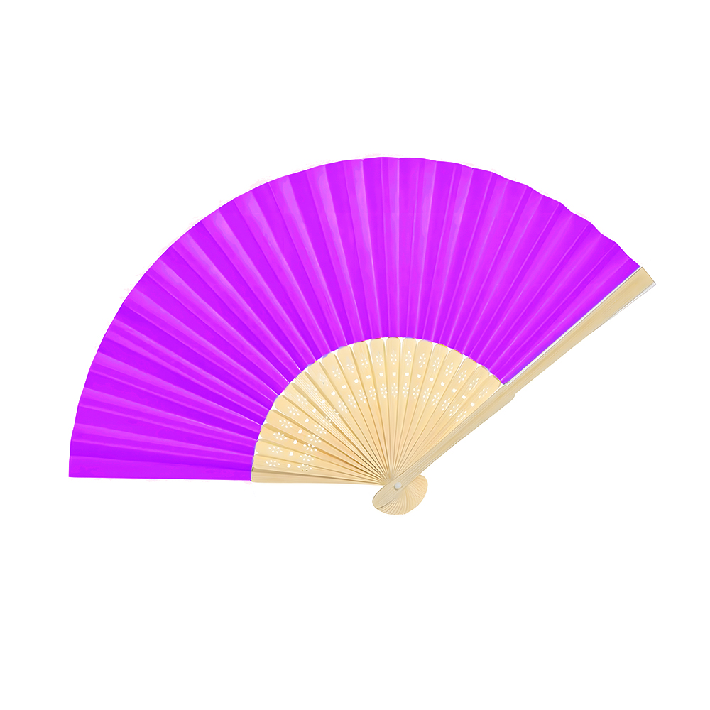 Foldable Fancy Hand Fan 39
