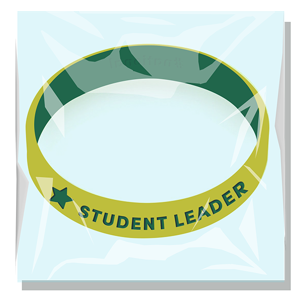 Individually Packaged Dual Layer Silicone Wristband 2