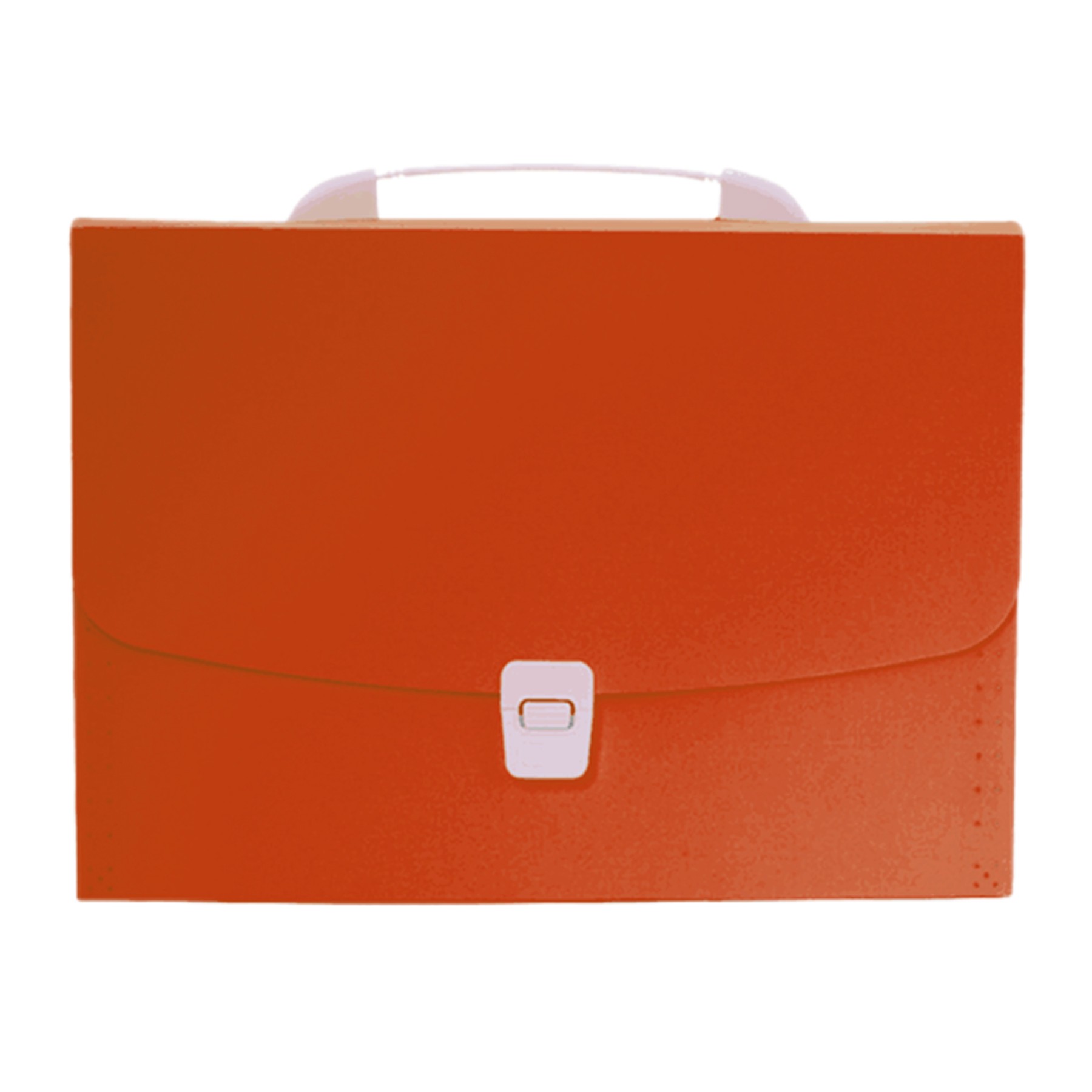 Portable Translucent Folder Bag 6