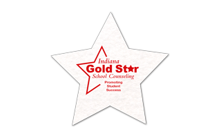Star Shammy Coaster 4