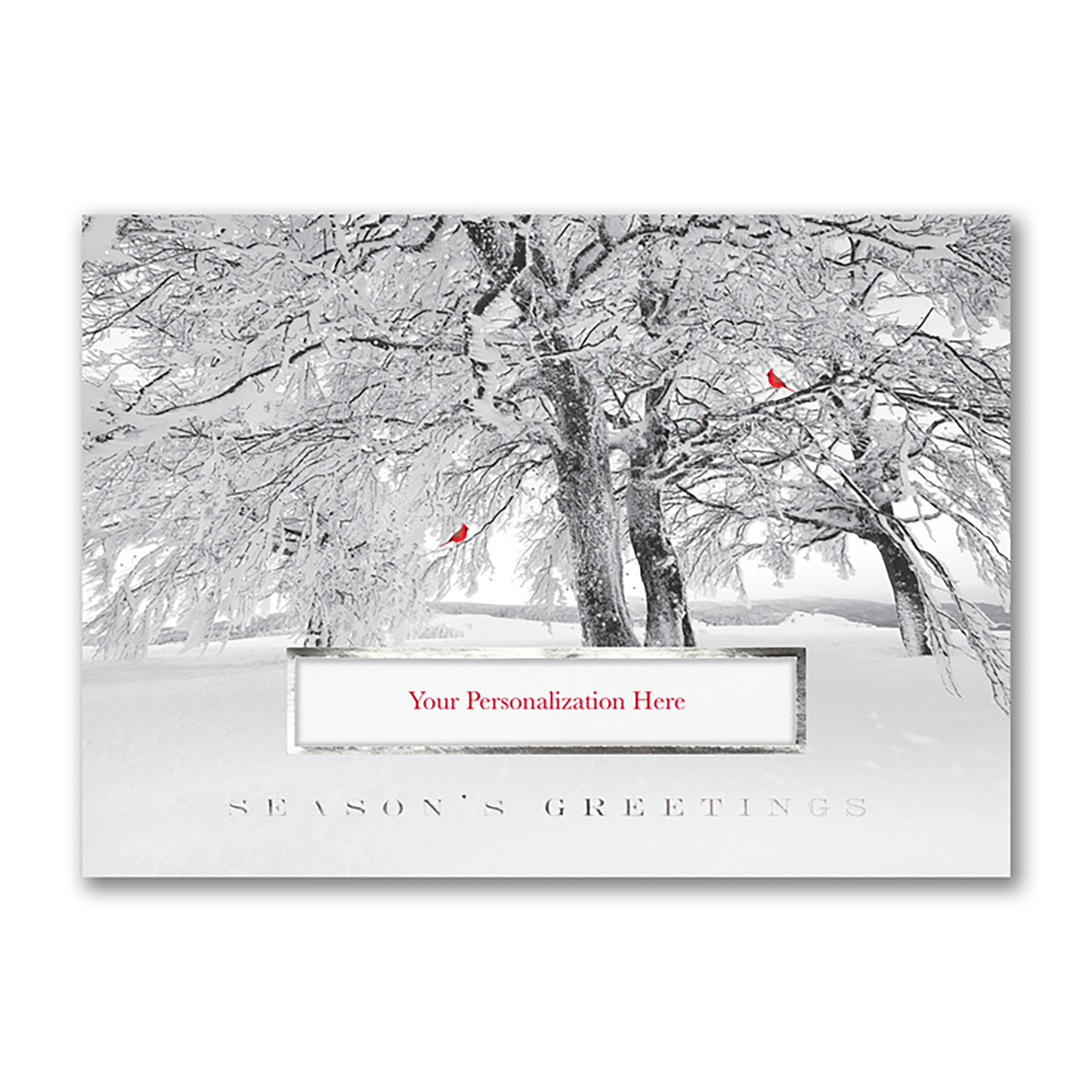Cardinal Season Holiday Card 3
