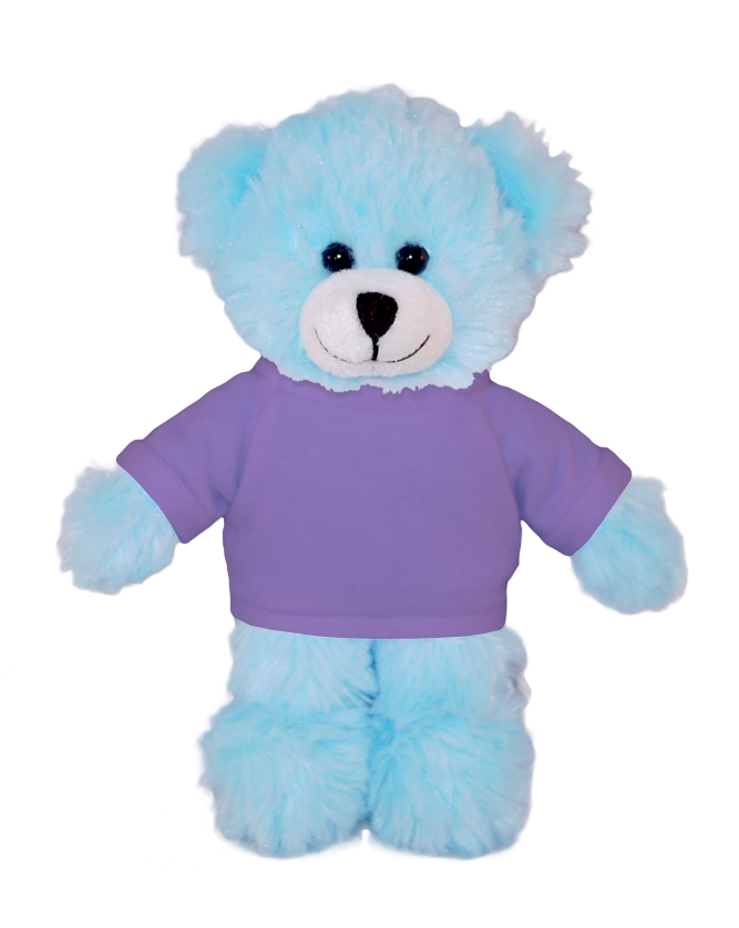 Blue Bear with Tee 16