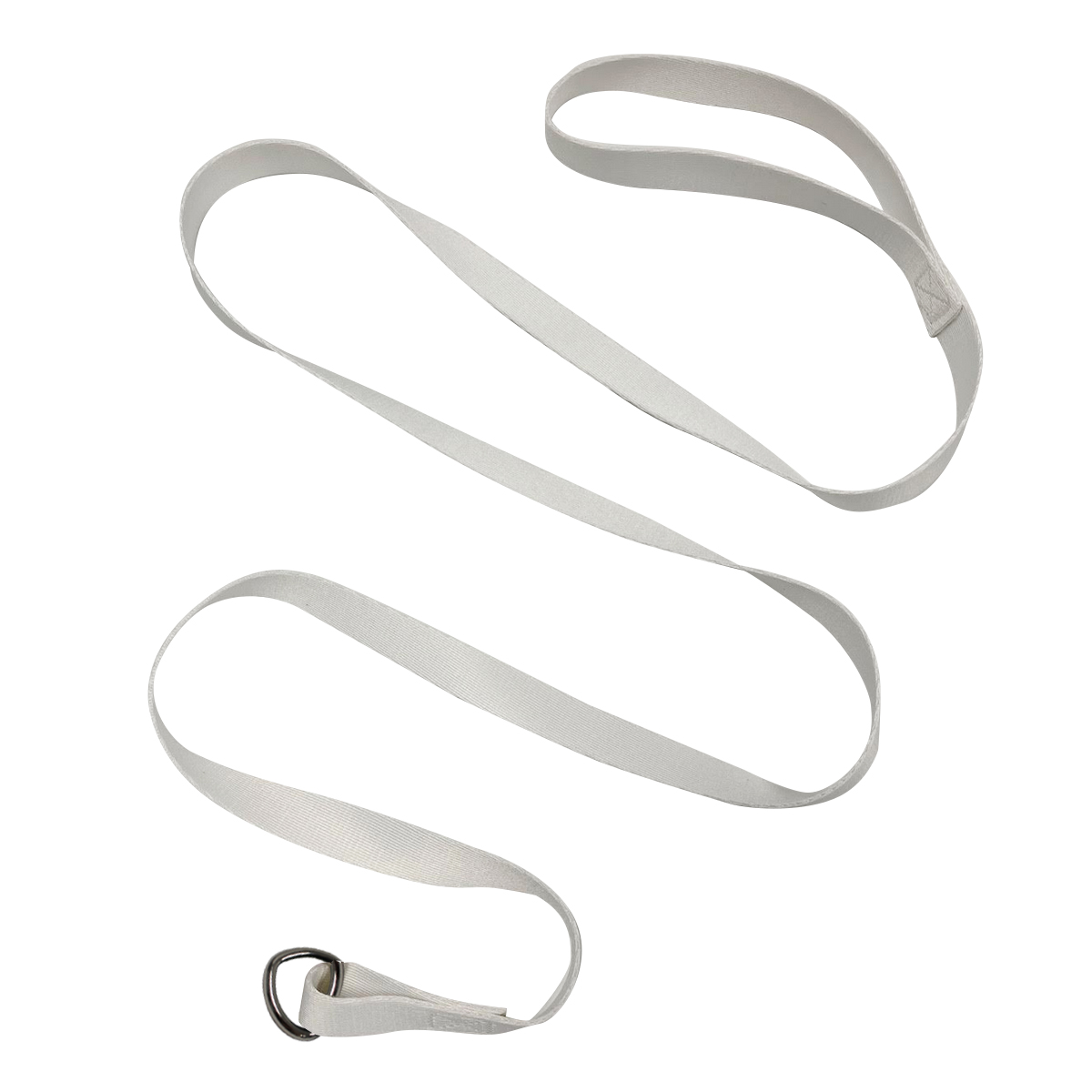 Pet Slip Leash 2