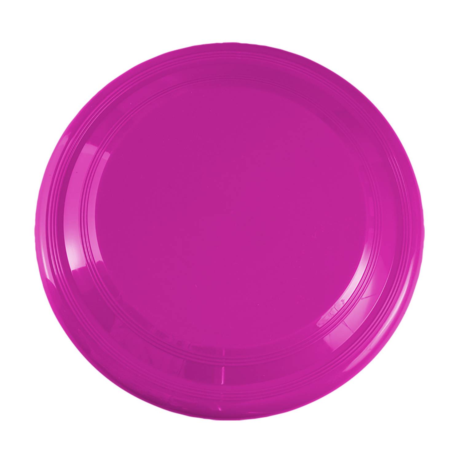 9 inch Flying Disc 10