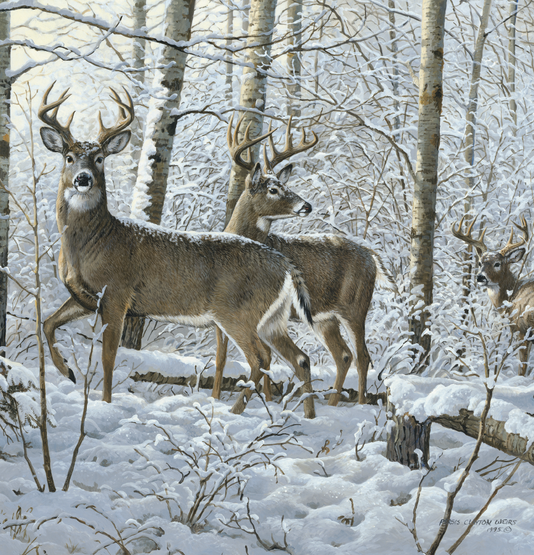 Triumph® Calendars Wildlife Art Calendar