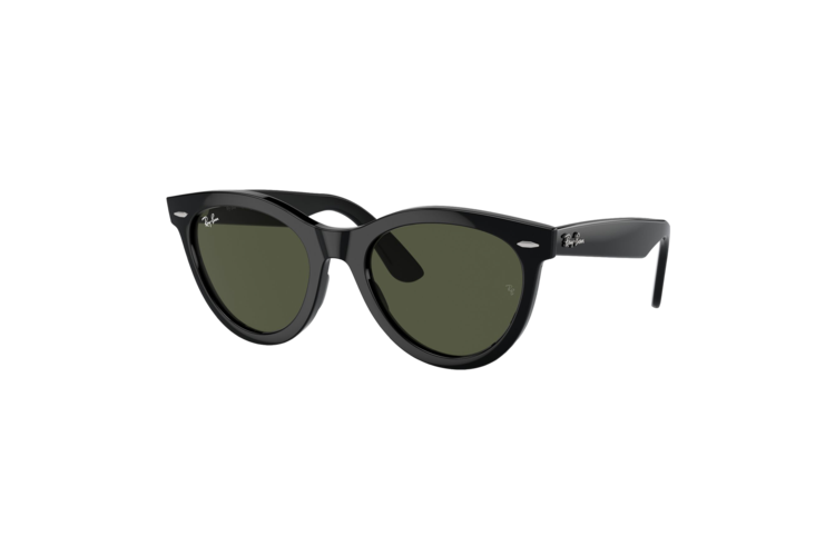 Ray-Ban Wayfarer Way Sunglasses 2