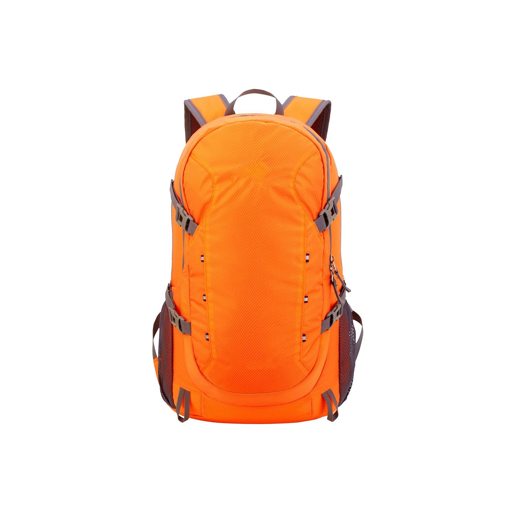 Folding Backpack 9