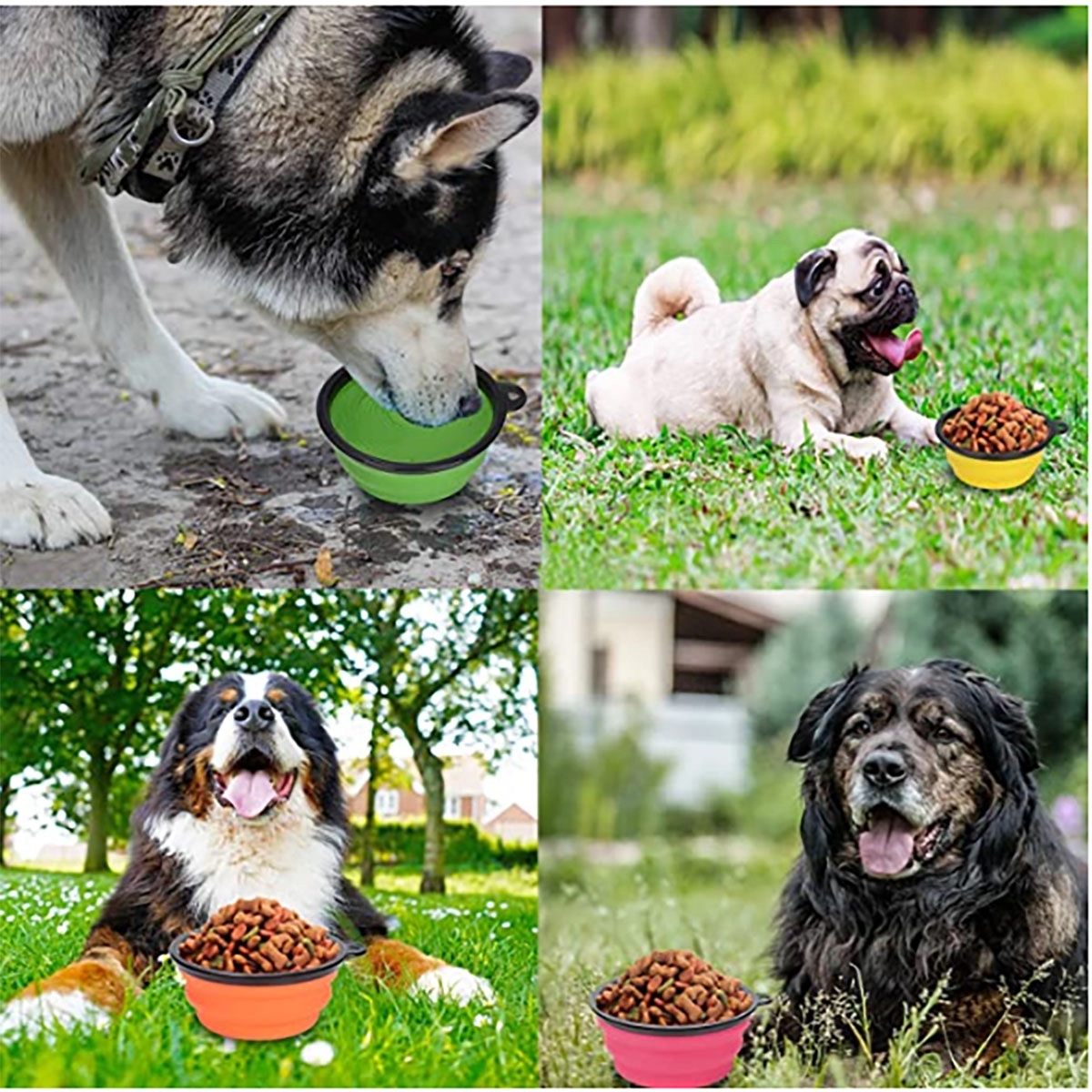 34Oz Pet Folding Bowl With Carabiner Clip 3