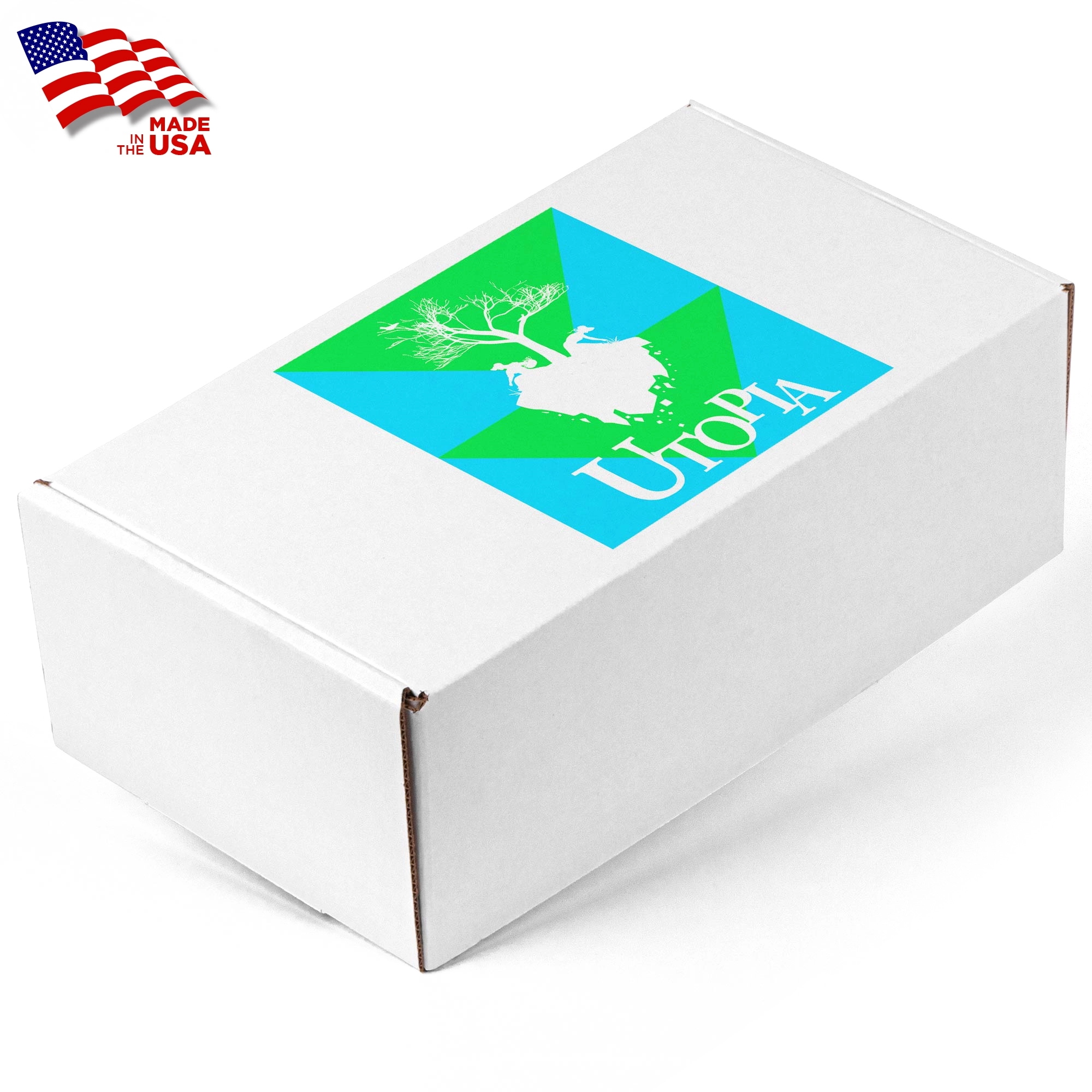 Screen Printed Corrugated Box Medium 11x6.5x4 For Mailers,