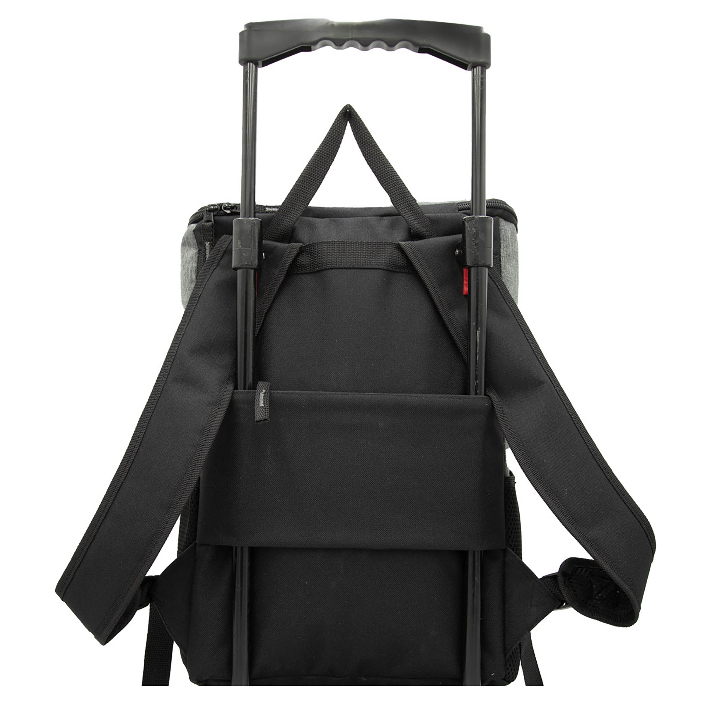 "Casual" 24 Can Cooler Backpack 3