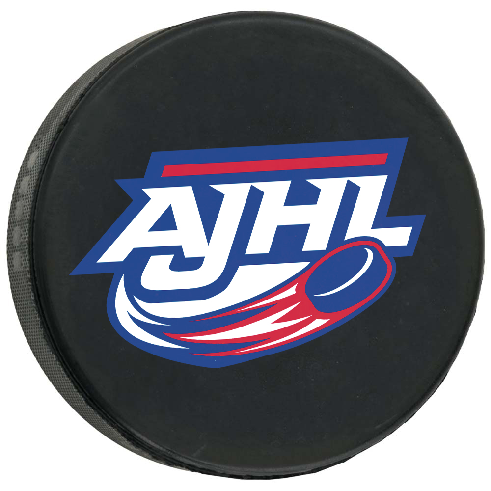 Hockey Puck Official Size