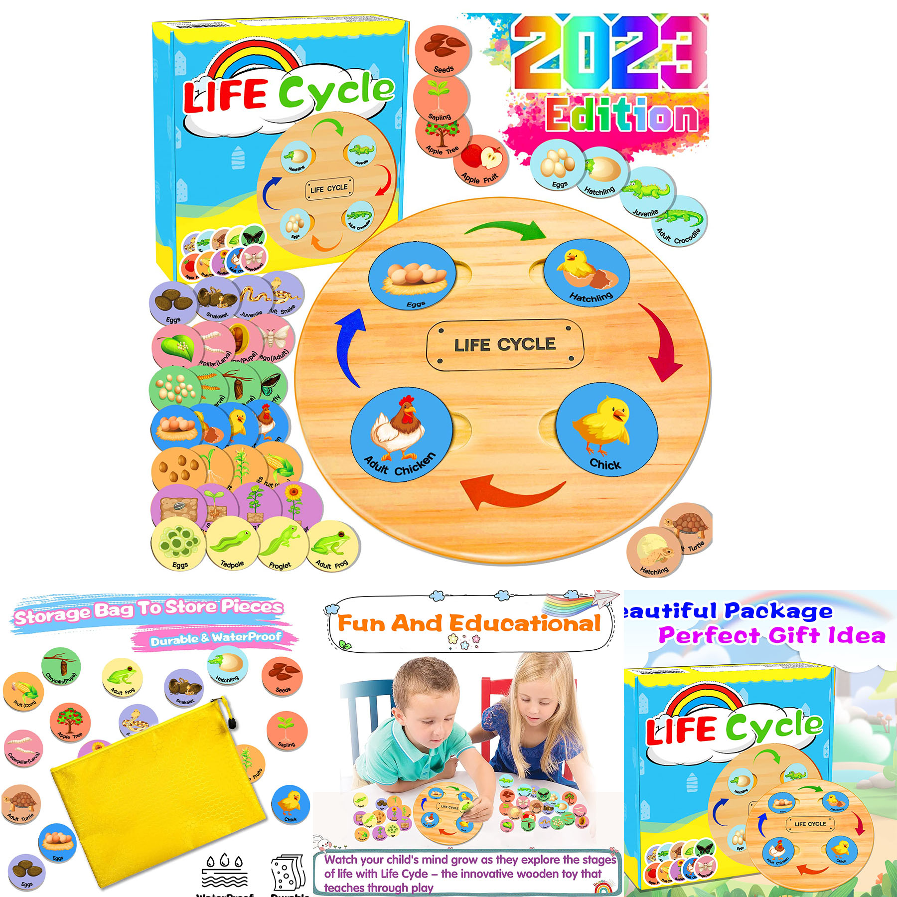 Life Cycle Toys for Kids 2