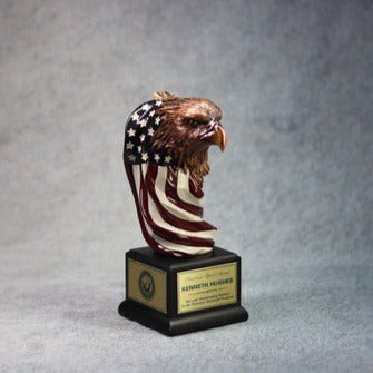 Eagle Head With The American Flag 5