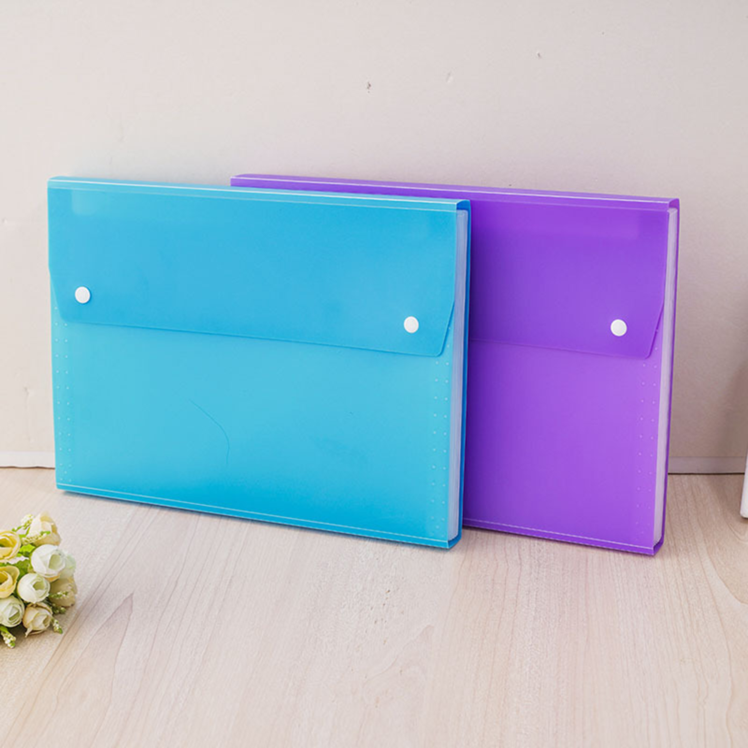 Document File Folder 5