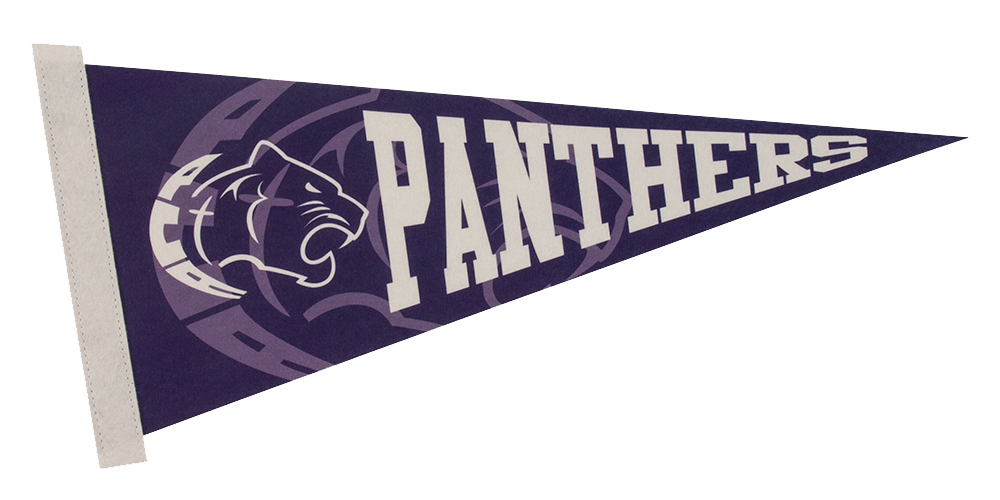 8" x 18" Premium Felt Pennant 5