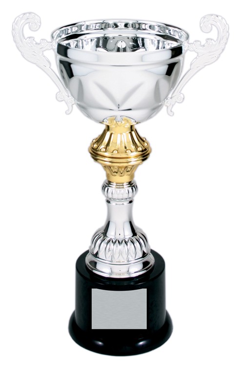 10" Tall Silver Metal Cup Trophy 1