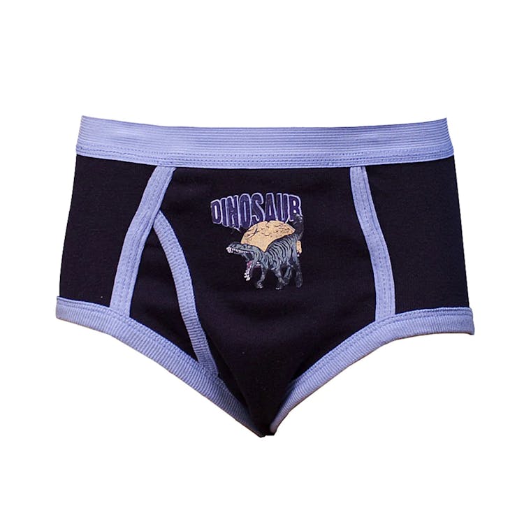 Boys' Cotton Briefs - Large 3 Pack Assorted Colors 2