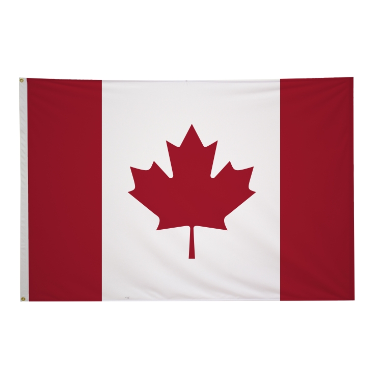 4' x 6' International Flags 193