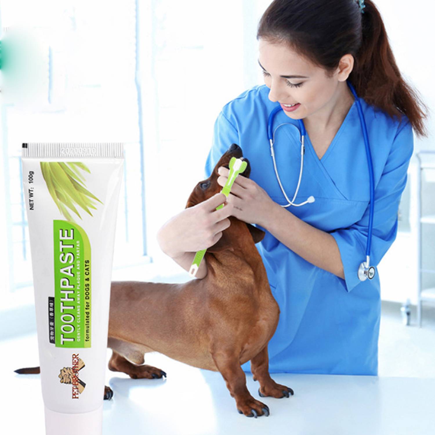 Pet Teeth Cleaning Flavored Toothbrush Toothpaste Set 4
