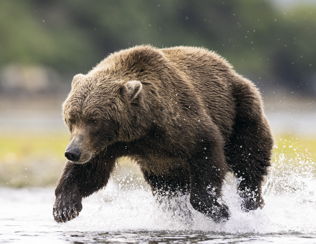 Triumph® Calendars Southcentral Sportsman Calendar 74