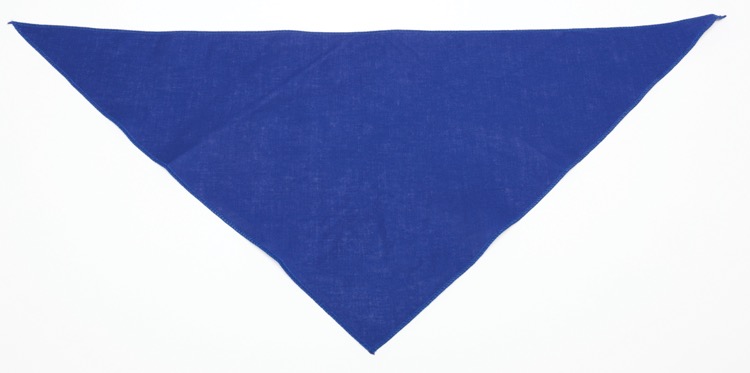 Personalized Small Royal Blue Triangle Pet Bandana