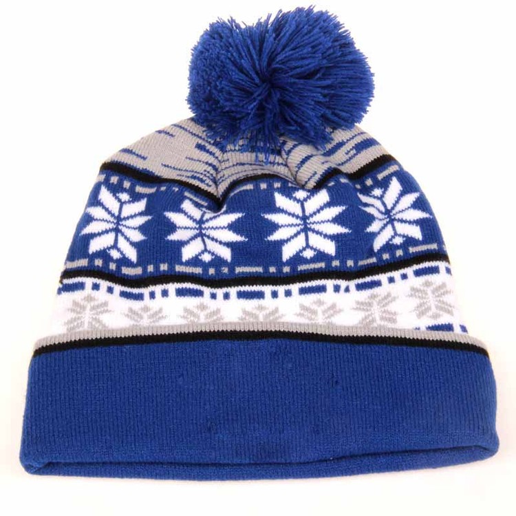 Cuffed Knit Beanie 1