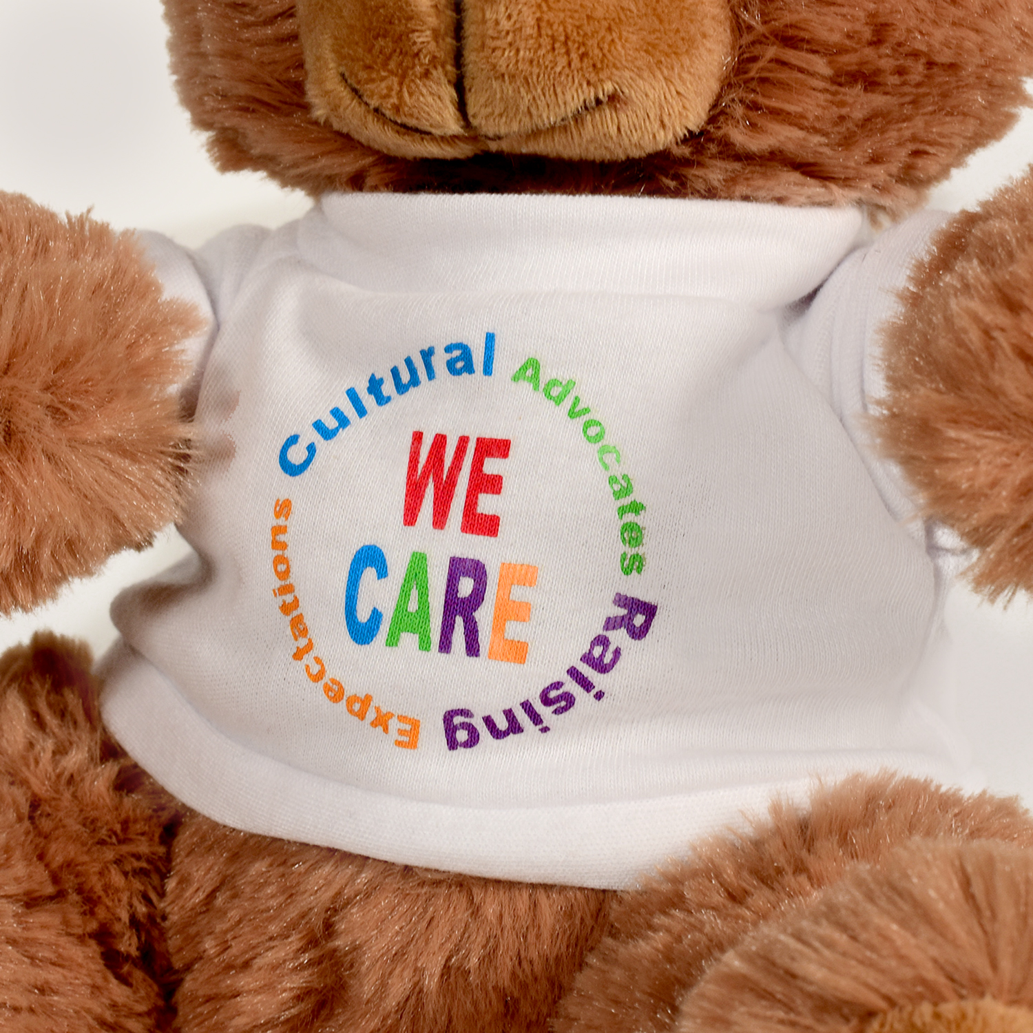 Plush Bear w/ Embroidered Paws and T-Shirt 32
