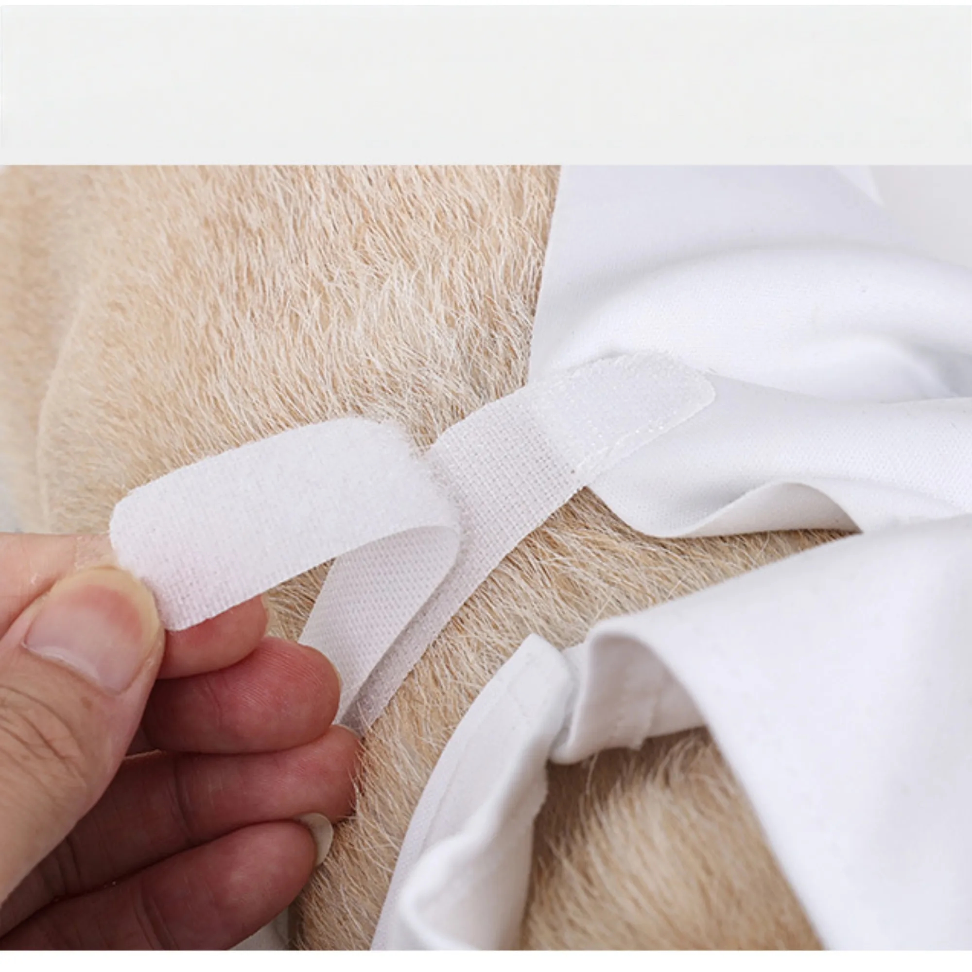 Pet Halloween ghost transformation costume 2