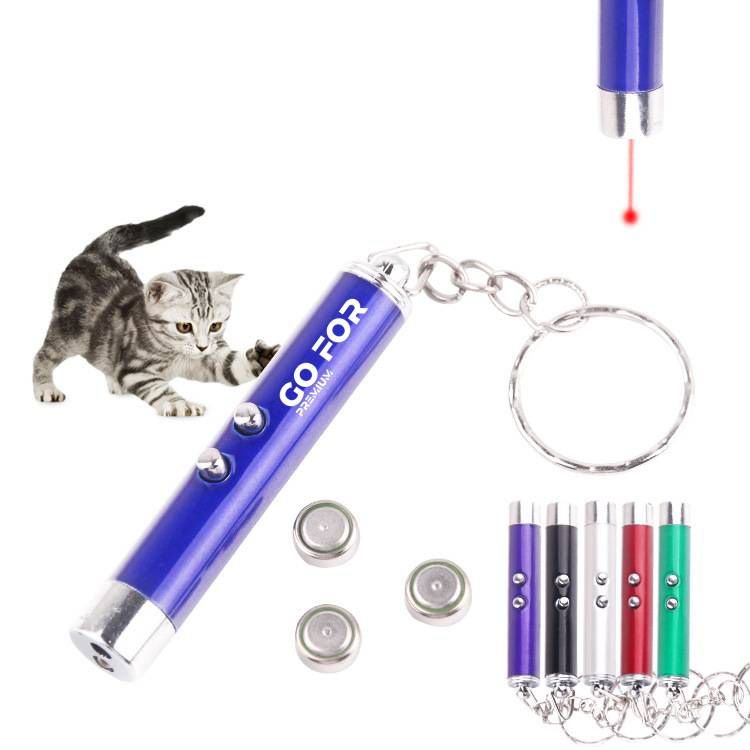 Laser Pointer 1