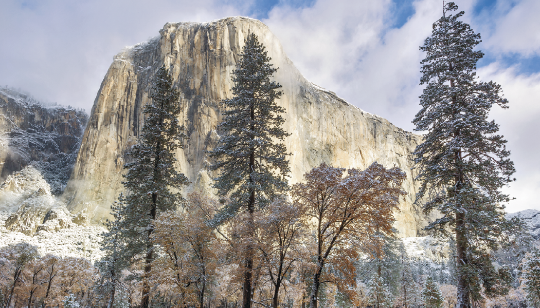 Triumph® Calendars American Splendor with Date Blocks Calendar 36