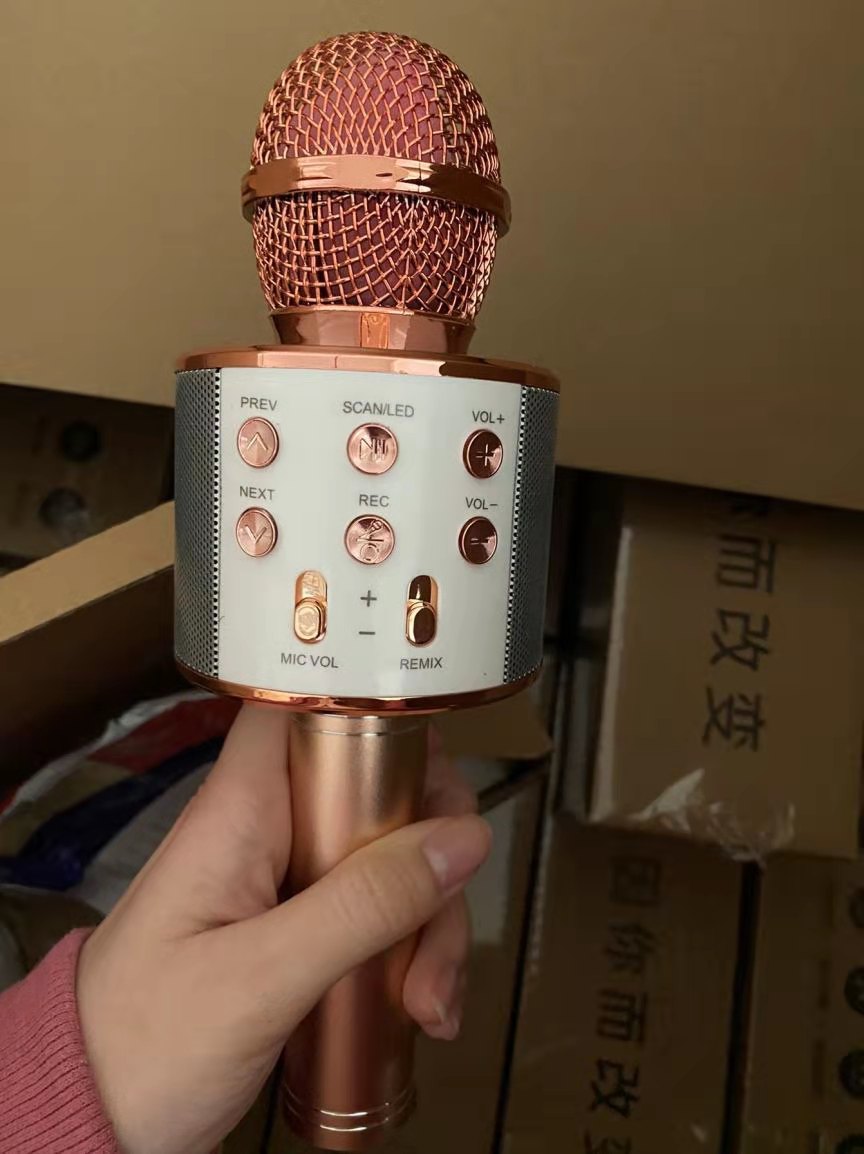 Bluetooth Karaoke Wireless Microphone 2