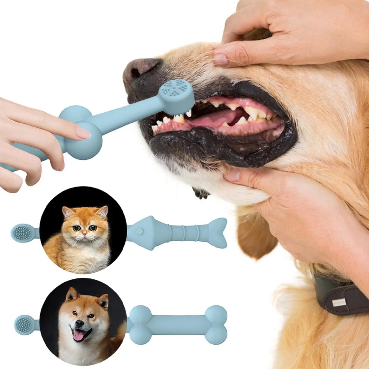 Dog Toothbrush 6