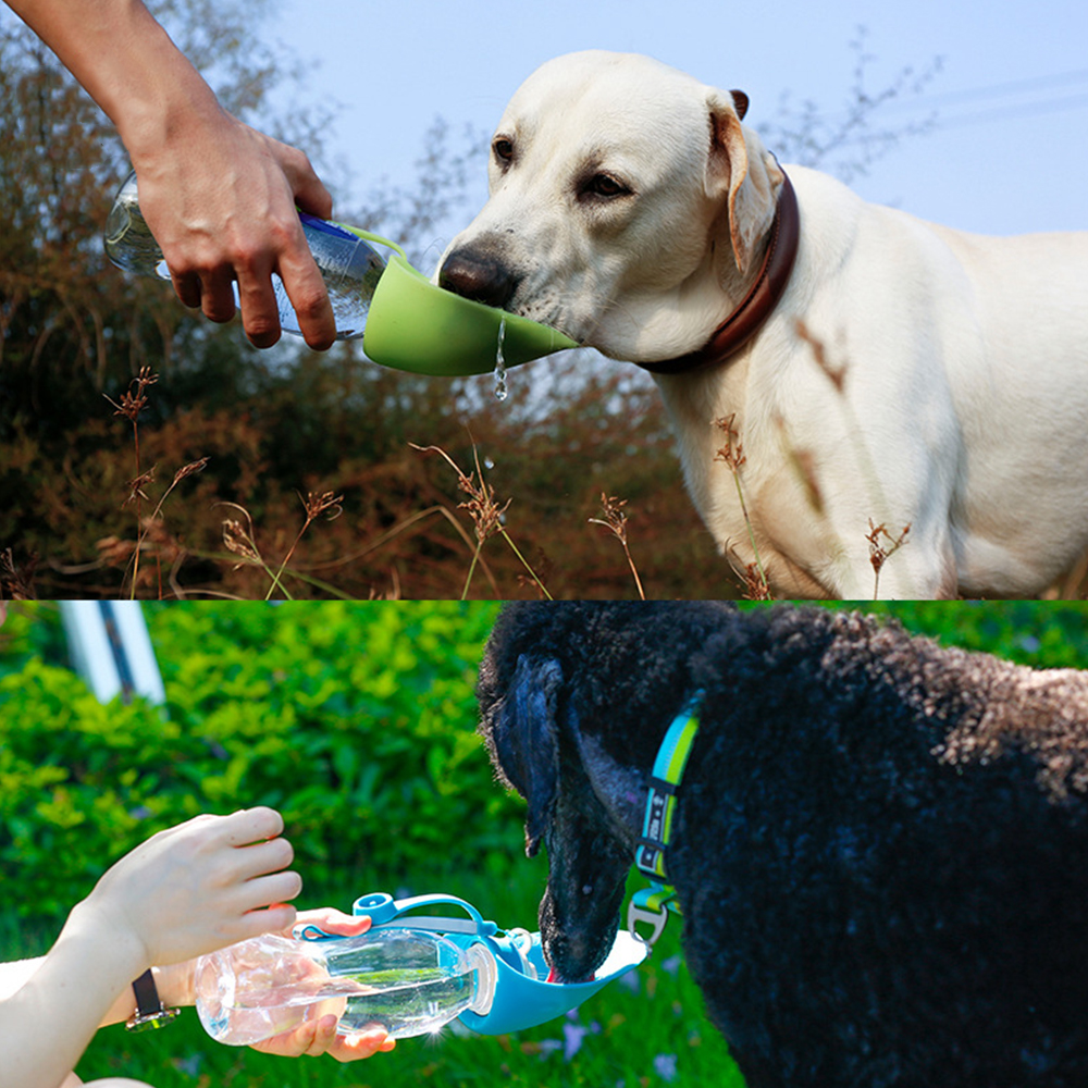 Portable Dog Water Bottle 2