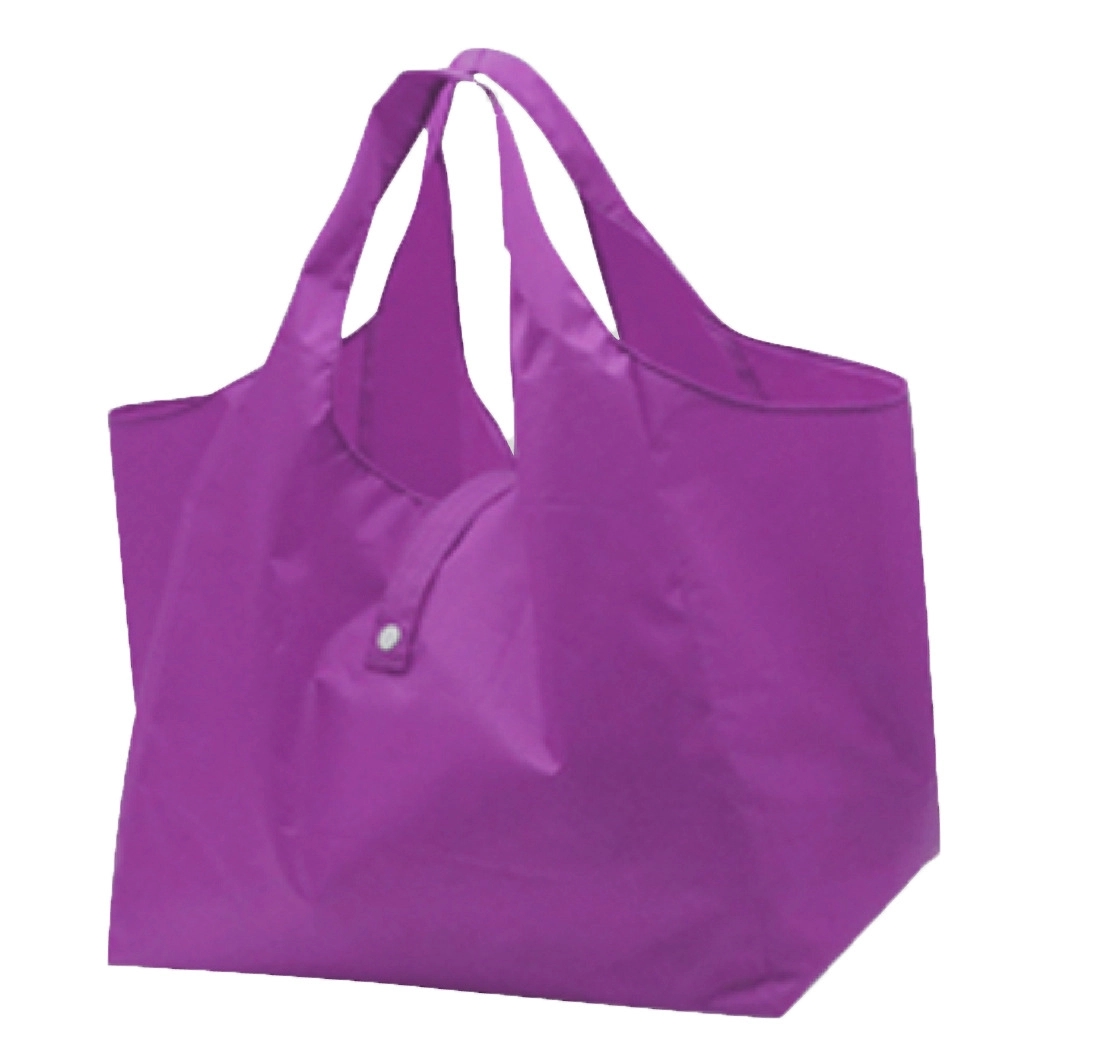 Folding Shopping Bag 17