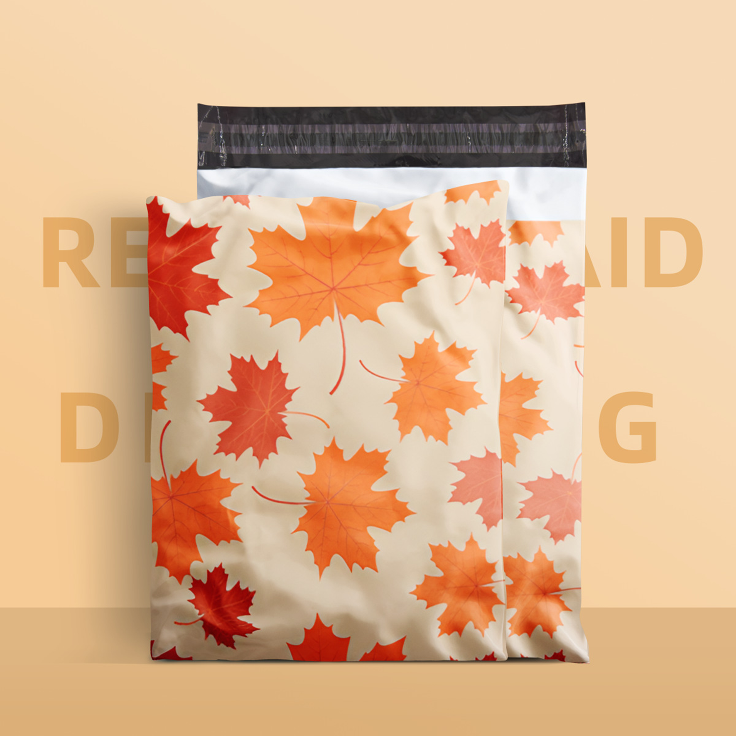 10X13 (100 Pack) Shipping Bag 2