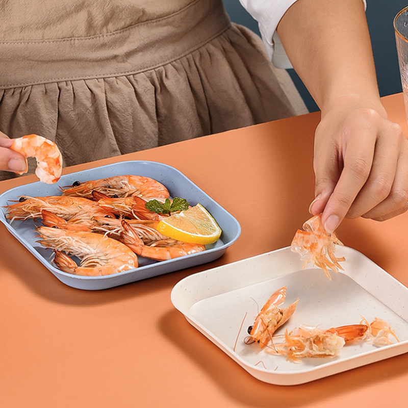 Plastic Snack Plate 2