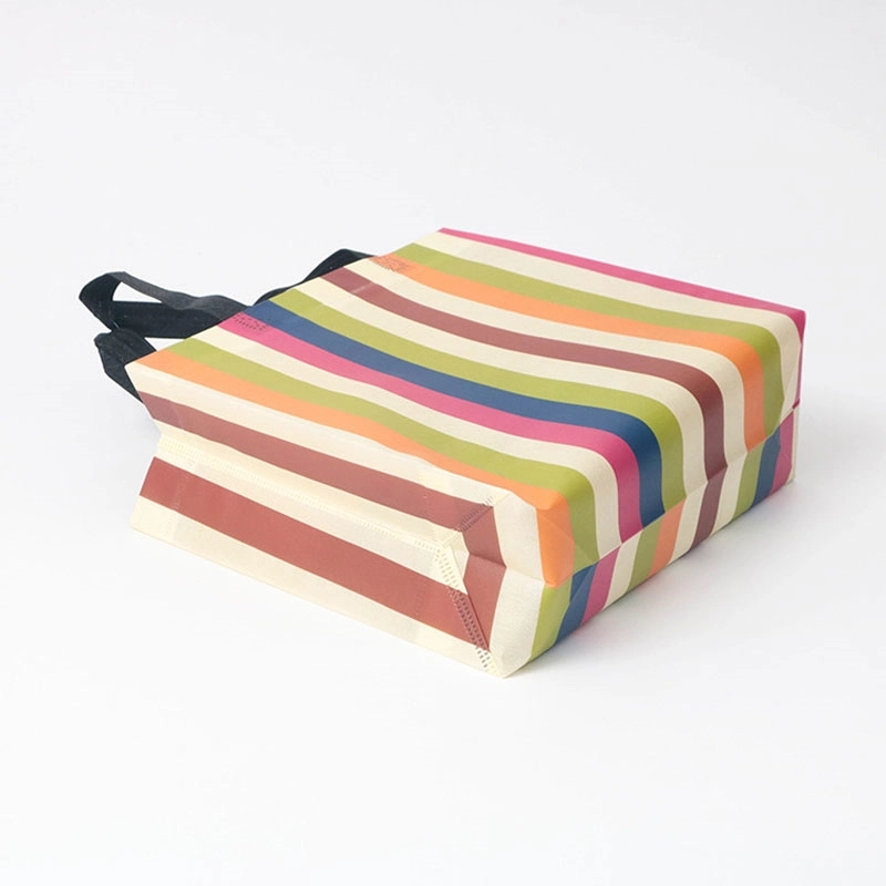 Custom Fashion shopping bag 2