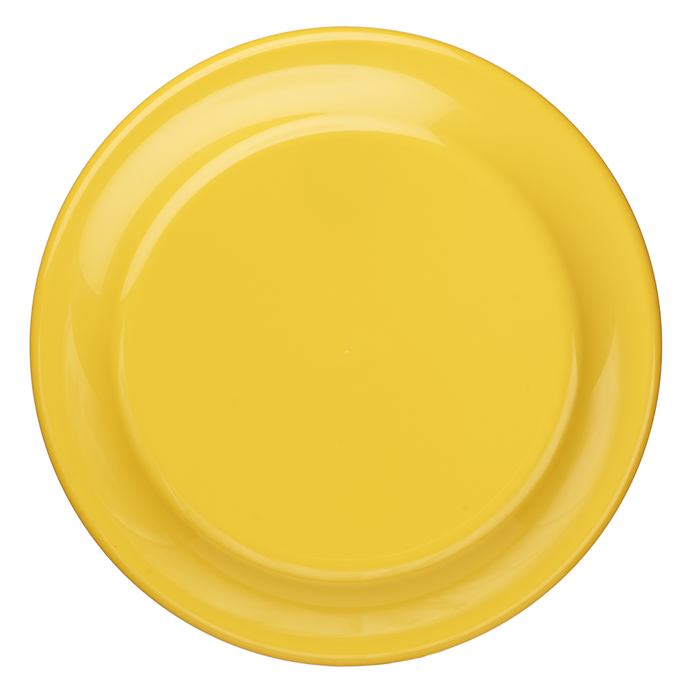 9.25 in. Solid Color Flying Discs 81