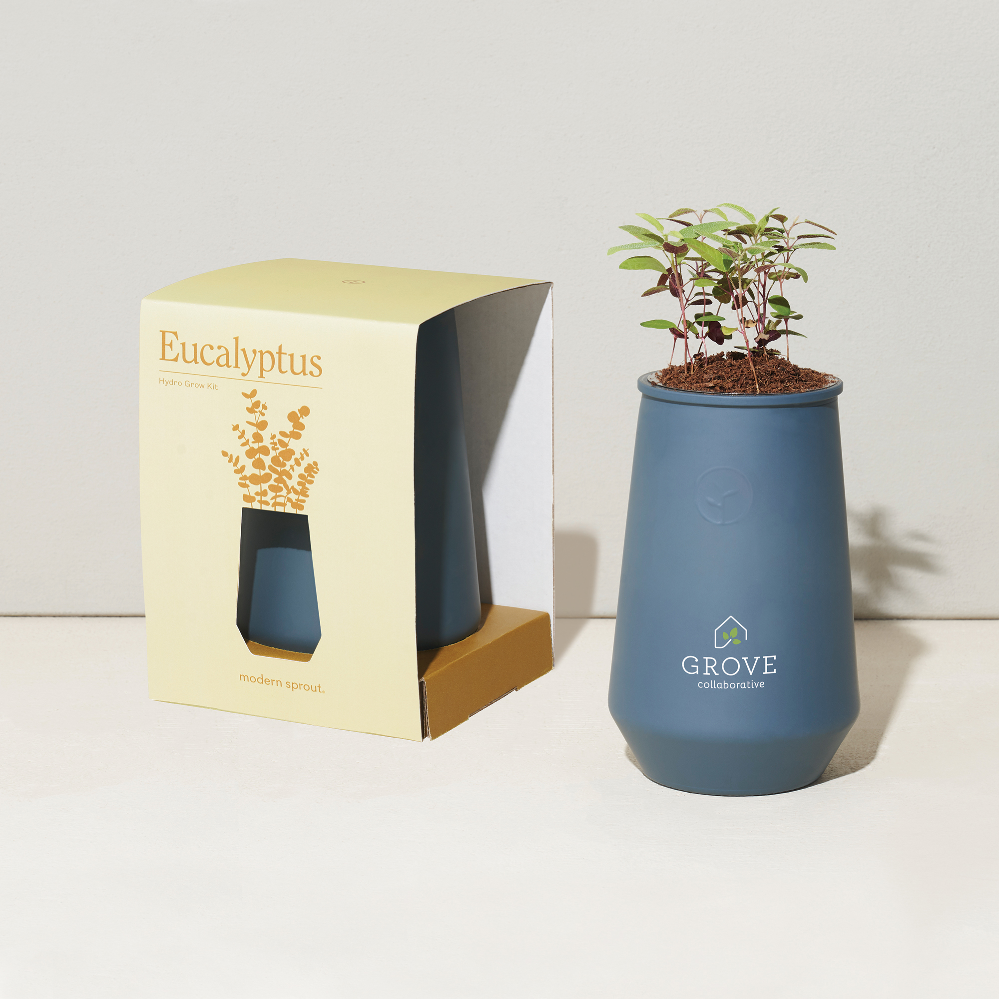 Modern Sprout® Tapered Tumbler Grow Kit 18