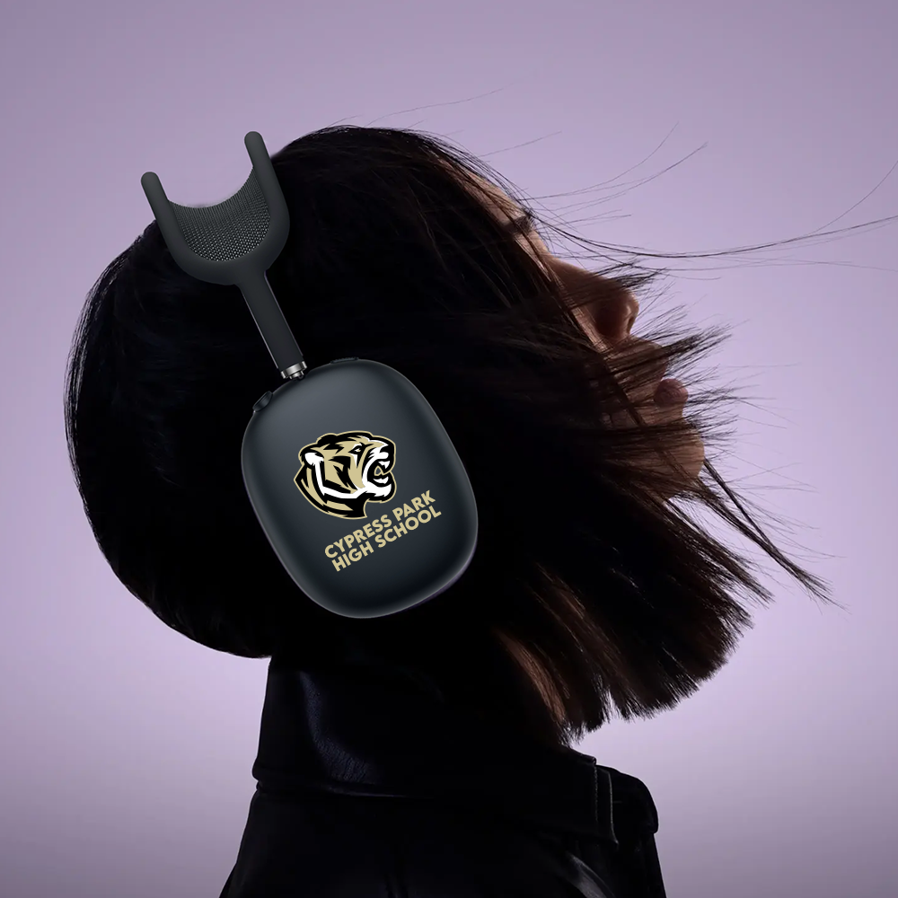 Custom Apple AirPods Max (USB-C) 4