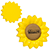 Sunflower Stress Reliever 3
