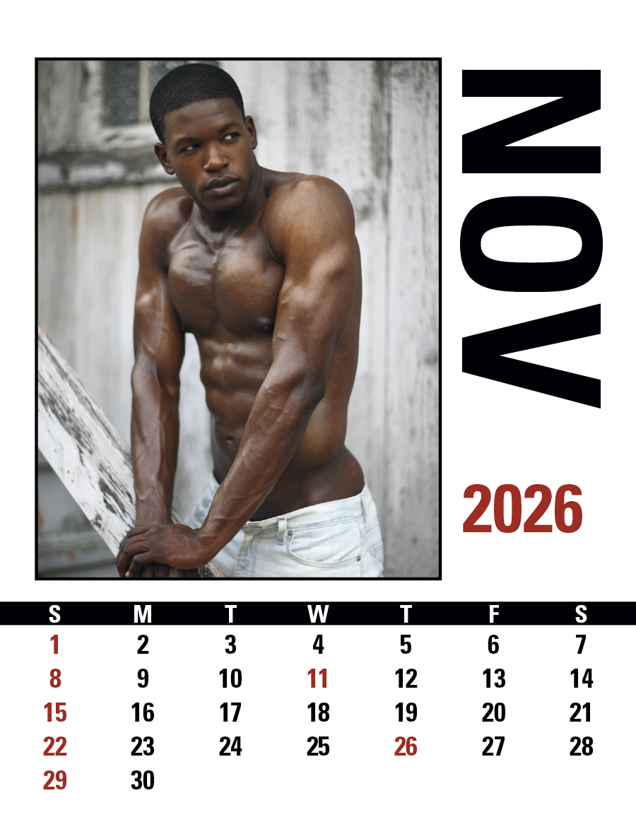 Triumph® Calendars Press-N-Stick Male Call Calendar 29