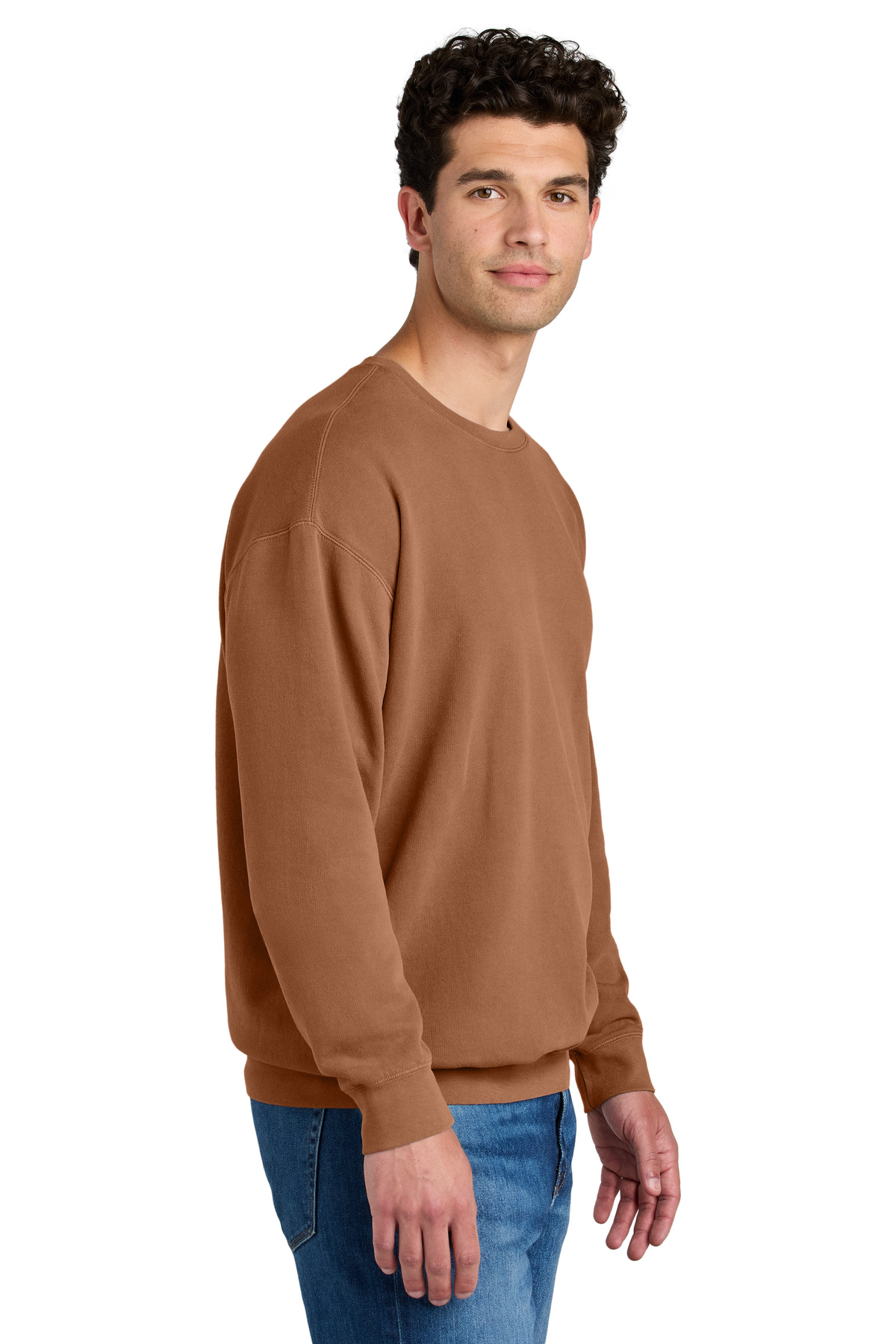 Comfort Colors Lightweight Crewneck Sweatshirt 1466 64